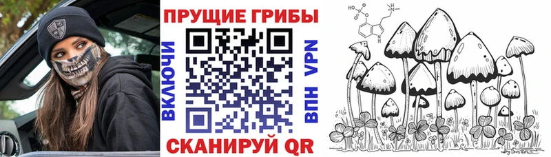 Псилоцибиновые грибы ЛСД  Стародуб 